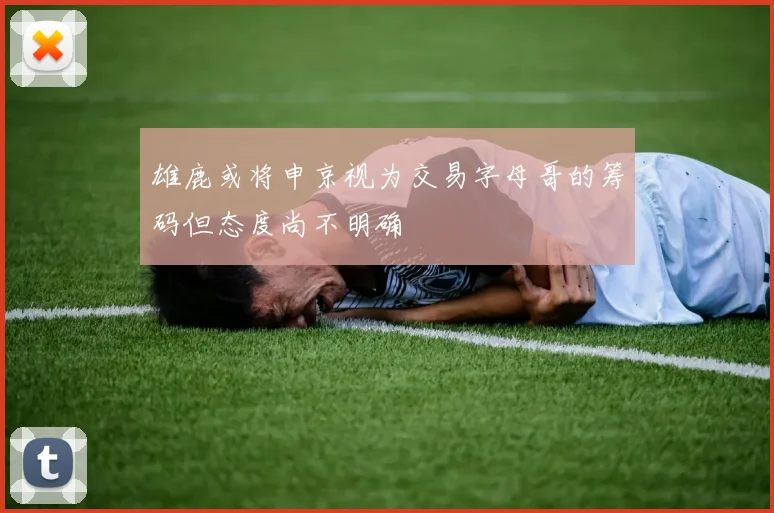 雄鹿或将申京视为交易字母哥的筹码但态度尚不明确